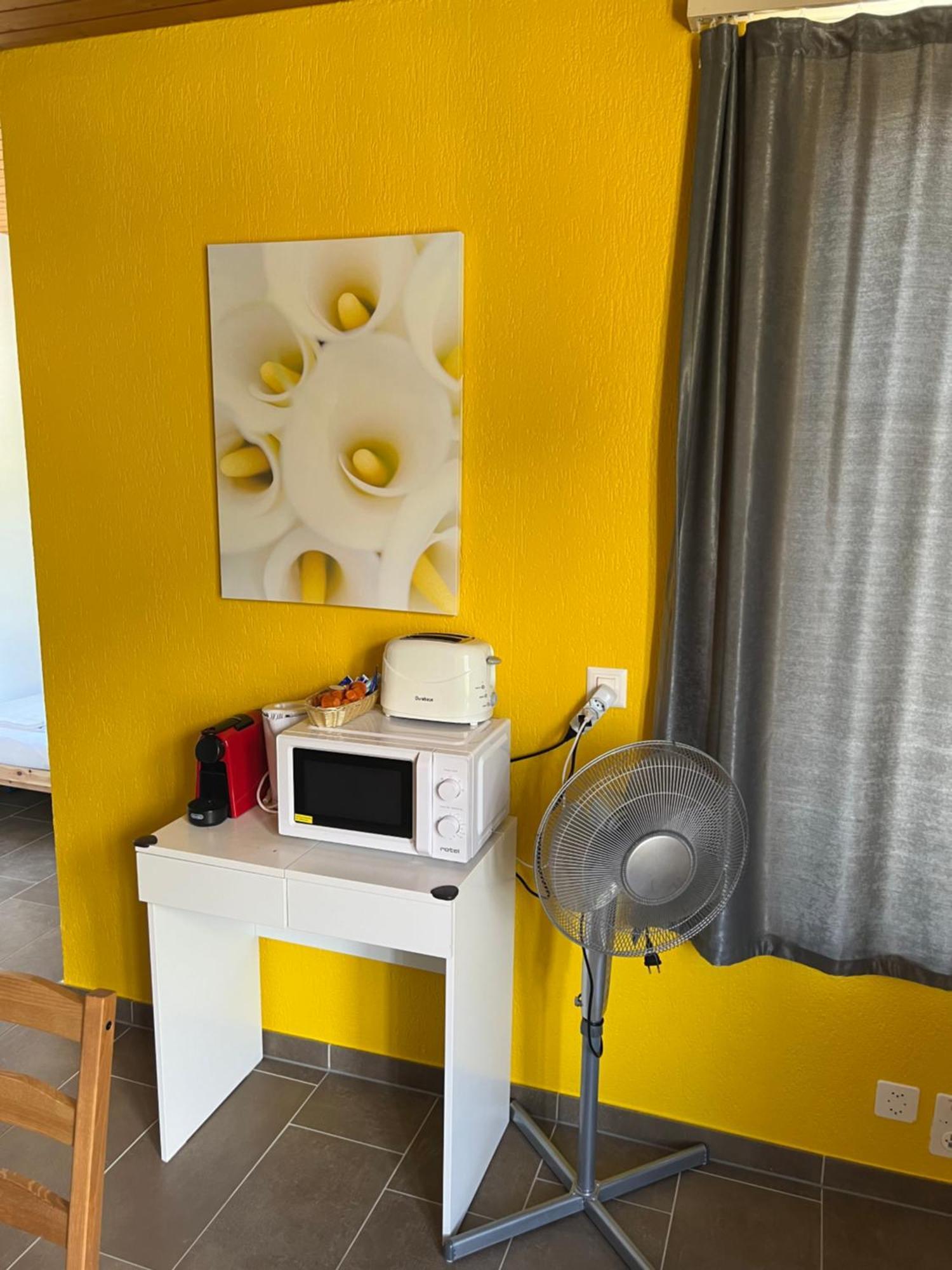 Apartament Rosy Interlaken Esterno foto